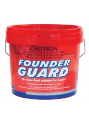 founderguard 5kg bucket rgb